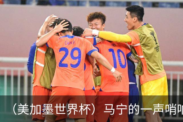 （美加墨世界杯）马宁的一声哨响，中国足球的另一种抵达